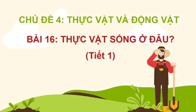 PowerPoint Tự nhiên và xã hội 2 Bài 16: Thực vật sống ở đâu