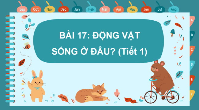 PowerPoint Tự nhiên và xã hội 2 Bài 17: Động vật sống ở đâu