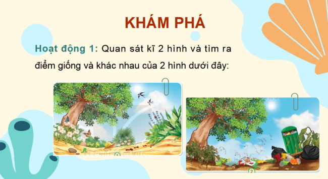 PowerPoint Tự nhiên và xã hội 2 Bài 18: Cần làm gì để bảo vệ môi trường sống của thực vật và động vật