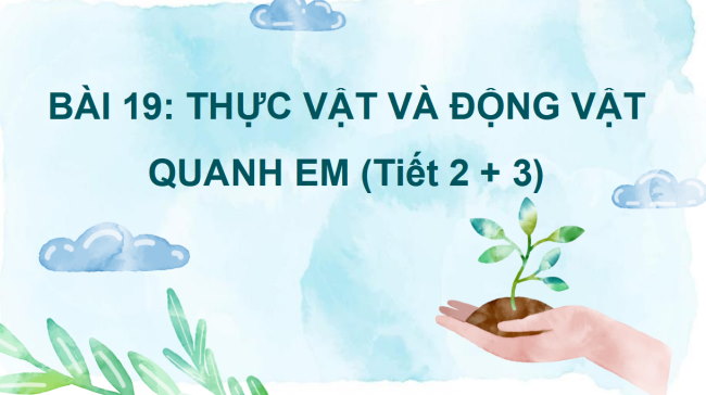 PowerPoint Tự nhiên và xã hội 2 Bài 19: Thực vật và động vật quanh em