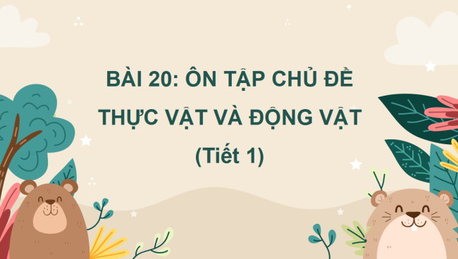 PowerPoint Tự nhiên và xã hội 2 Bài 20: Ôn tập chủ đề Thực vật và động vật