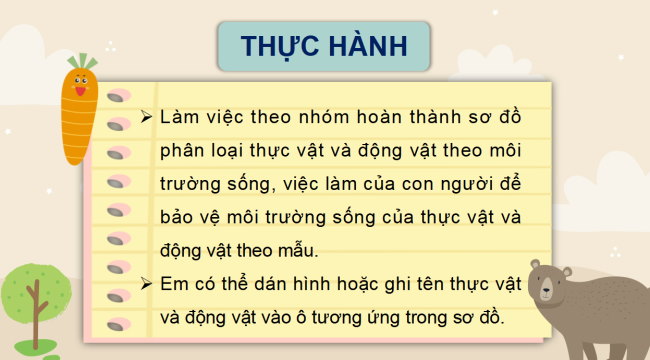 PowerPoint Tự nhiên và xã hội 2 Bài 20: Ôn tập chủ đề Thực vật và động vật