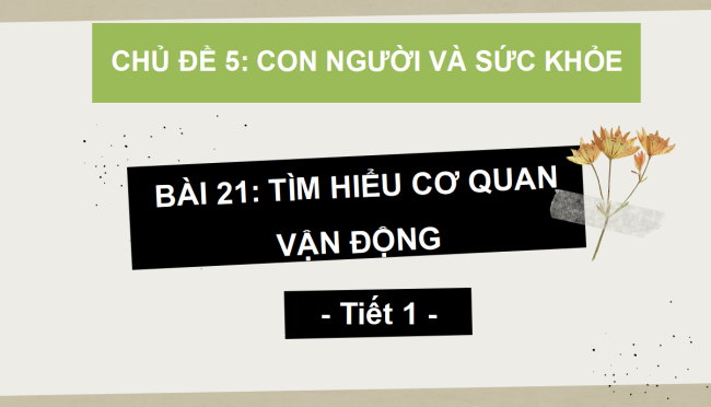 PowerPoint Tự nhiên và xã hội 2 Bài 21: Tìm hiểu cơ quan vận động