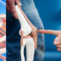 PowerPoint Tự nhiên và xã hội 2 Bài 21: Tìm hiểu cơ quan vận động