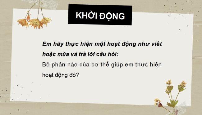 PowerPoint Tự nhiên và xã hội 2 Bài 21: Tìm hiểu cơ quan vận động