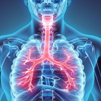 PowerPoint Tự nhiên và xã hội 2 Bài 23: Tìm hiểu cơ quan hô hấp