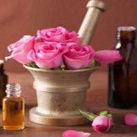 PowerPoint Công nghệ 4 Bài 1: Lợi ích của hoa, cây cảnh đối với đời sống