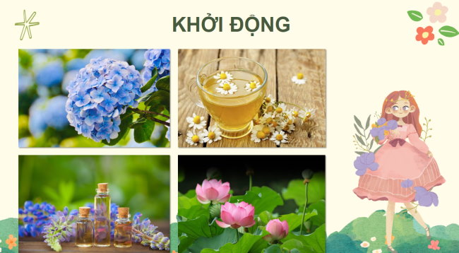 PowerPoint Công nghệ 4 Bài 1: Lợi ích của hoa, cây cảnh đối với đời sống