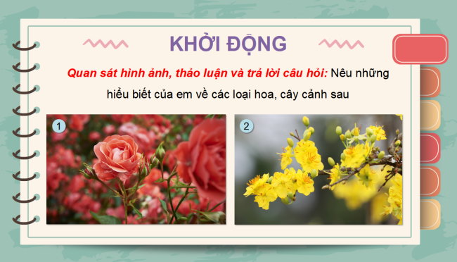 PowerPoint Công nghệ 4 Bài 2: Một số loại hoa, cây cảnh phổ biến