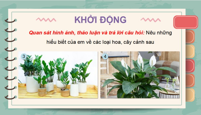 PowerPoint Công nghệ 4 Bài 2: Một số loại hoa, cây cảnh phổ biến