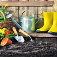 PowerPoint Công nghệ 4 Bài 3: Vật liệu và dụng cụ trồng hoa, cây cảnh trong chậu