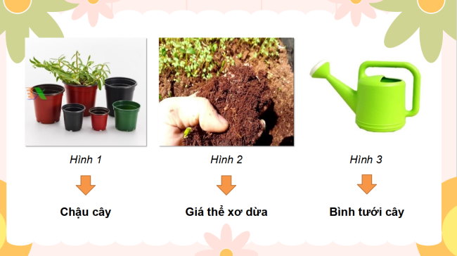 PowerPoint Công nghệ 4 Bài 3: Vật liệu và dụng cụ trồng hoa, cây cảnh trong chậu