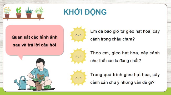 PowerPoint Công nghệ 4 Bài 4: Gieo hạt hoa, cây cảnh trong chậu