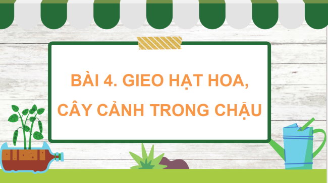 PowerPoint Công nghệ 4 Bài 4: Gieo hạt hoa, cây cảnh trong chậu