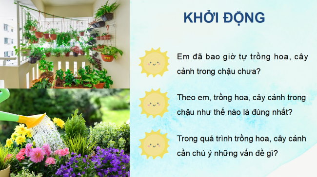 PowerPoint Công nghệ 4 Bài 5: Trồng hoa, cây cảnh trong chậu
