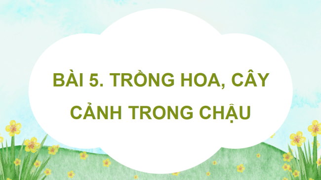 PowerPoint Công nghệ 4 Bài 5: Trồng hoa, cây cảnh trong chậu