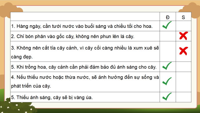 PowerPoint Công nghệ 4 Bài 6: Chăm sóc hoa, cây cảnh trong chậu