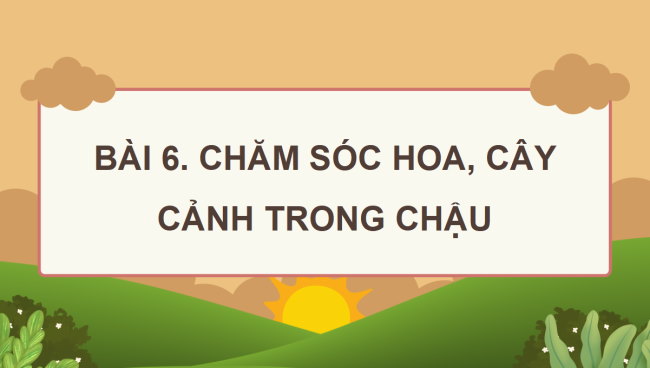 PowerPoint Công nghệ 4 Bài 6: Chăm sóc hoa, cây cảnh trong chậu