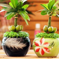 PowerPoint Công nghệ 4: Ôn tập học kì 1