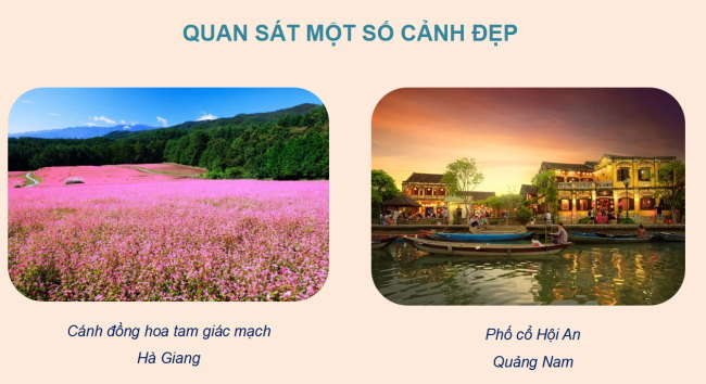 PowerPoint Mĩ thuật 4 Chủ đề 3: Cảnh đẹp quê hương