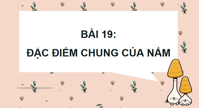 powerpoint khoa hoc 4 kntt hk2 1*508773