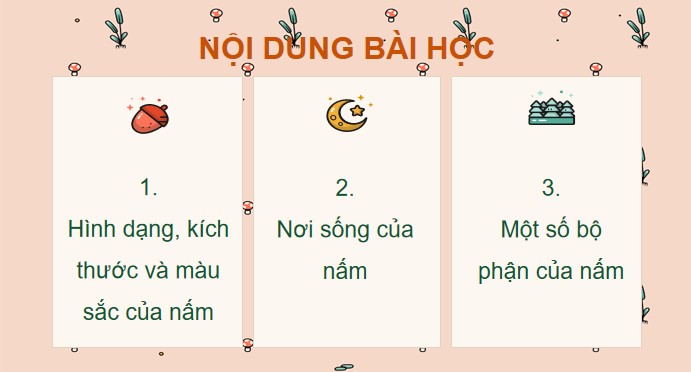 powerpoint khoa hoc 4 kntt hk2 2*508777