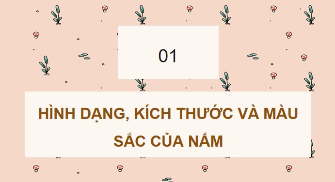 powerpoint khoa hoc 4 kntt hk2 3*508778