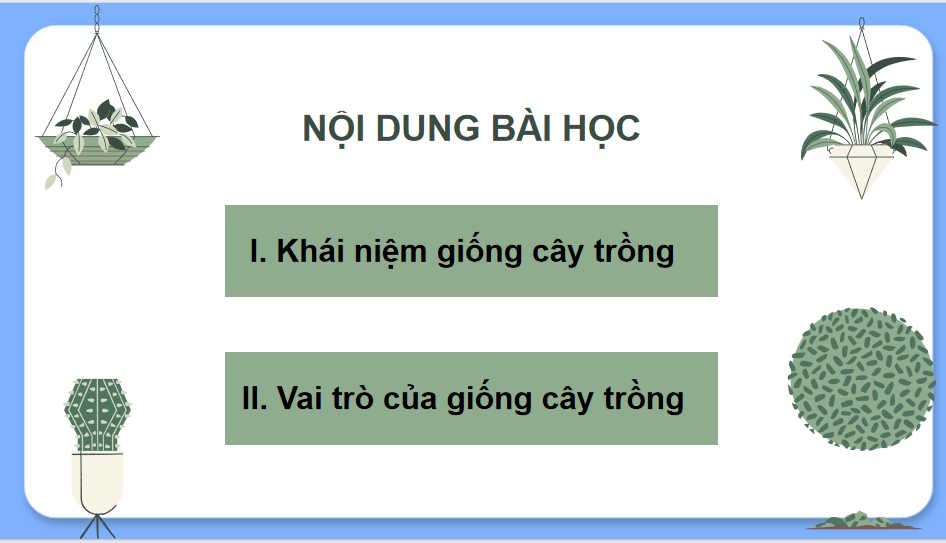 Khái niệm và vai trò của giống cây trồng