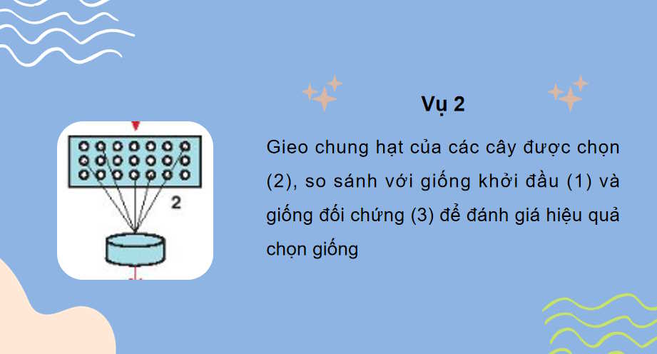 Một số phương pháp chọn tạo giống cây trồng