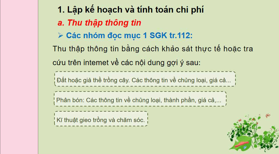 Dự án trồng hoa trong chậu
