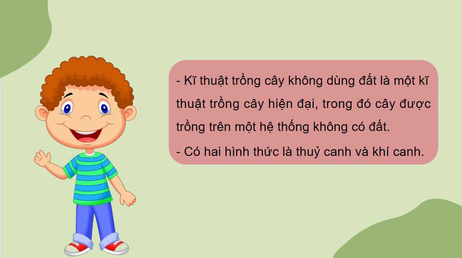 Công nghệ trồng cây không dùng đất