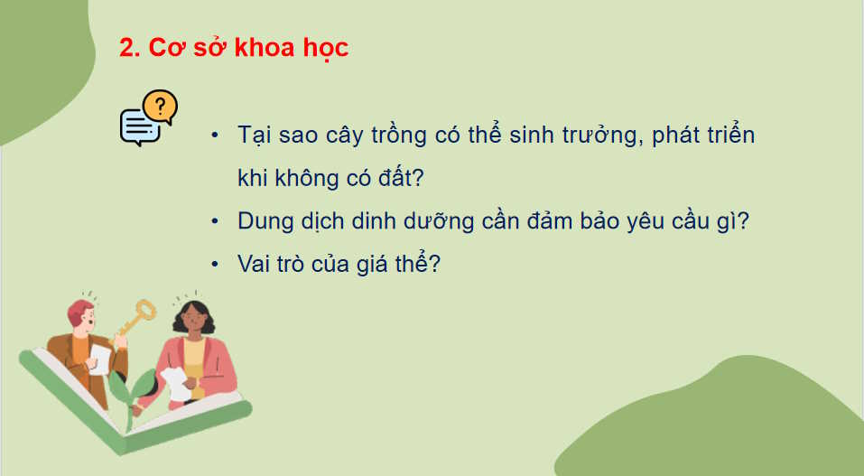 Công nghệ trồng cây không dùng đất