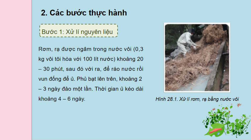 Thực hành Sử dụng rơm dạ để trồng nấm rơm