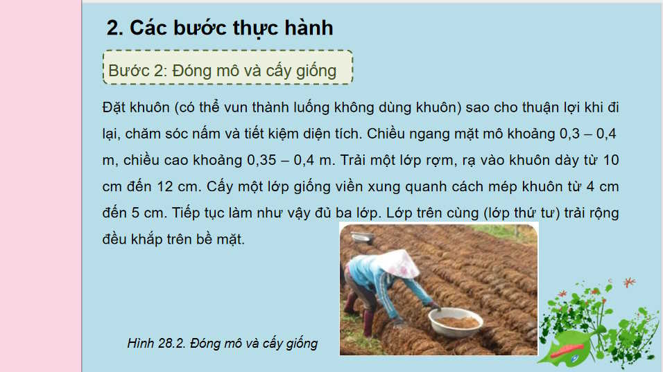 Thực hành Sử dụng rơm dạ để trồng nấm rơm