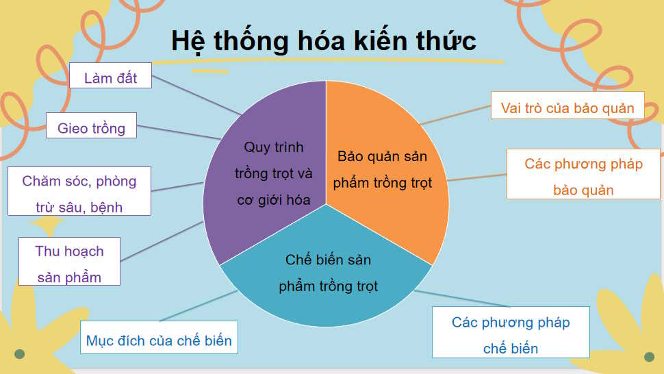 Công nghệ 10 Ôn tập chương VI