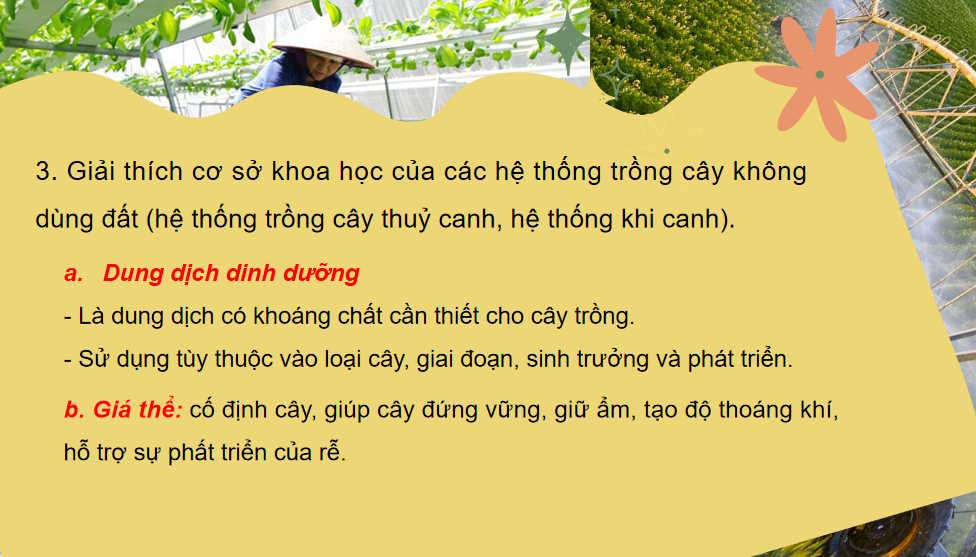 Công nghệ 10 Ôn tập chương VII