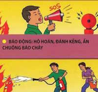 Giáo án Sinh hoạt lớp 5 An toàn cho em - An toàn cho mọi người tuần 8