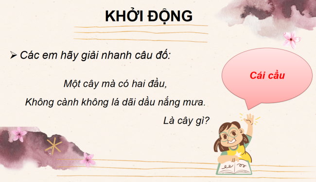 PowerPoint Bài 7: Cái cầu