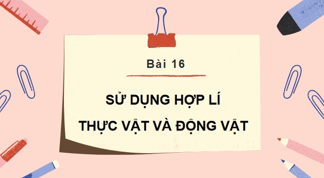 powerpoint tu nhien va xa hoi 3 ket noi tri thuc hoc ki 2 2*510106
