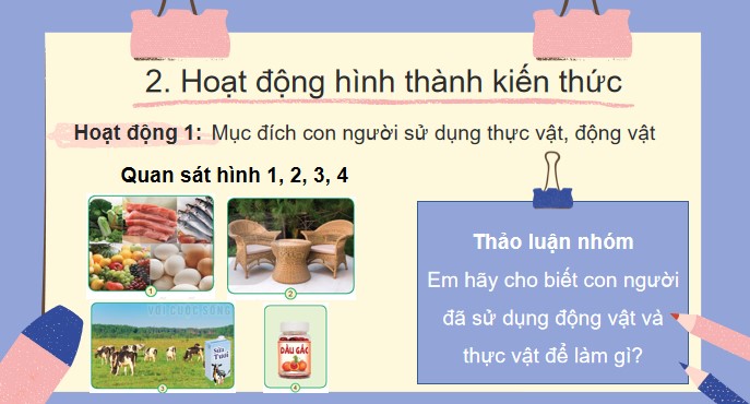 powerpoint tu nhien va xa hoi 3 ket noi tri thuc hoc ki 2 4*510108