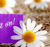 Giáo án Sinh hoạt lớp 5 Phát triển bản thân - Thích ứng với môi trường mới tuần 24