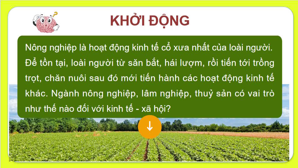 PowerPoint Địa lí 10 Bài 23 Kết nối tri thức