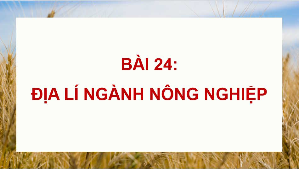 PowerPoint Địa lí 10 Bài 24 Kết nối tri thức