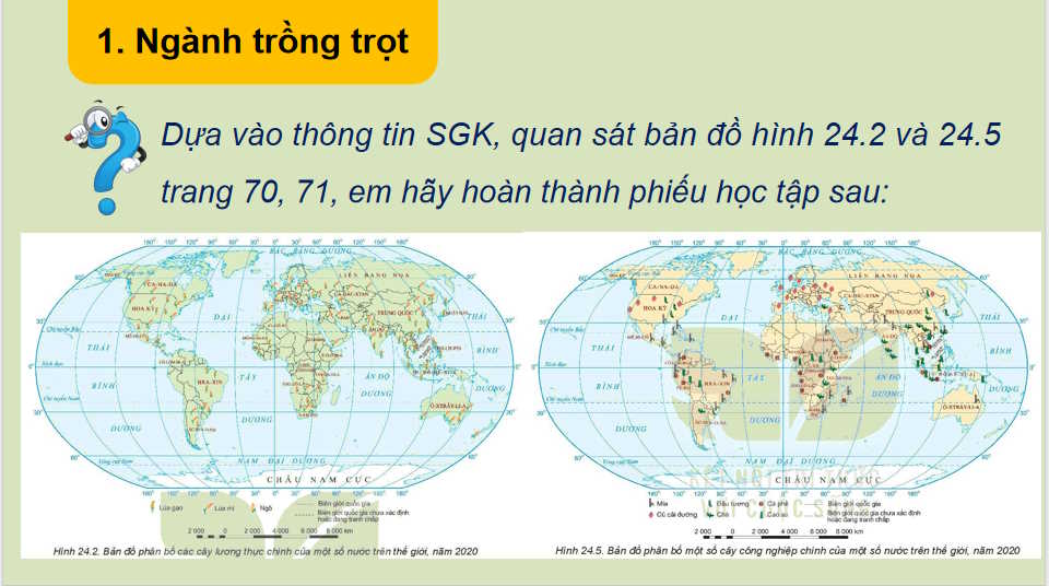 PowerPoint Địa lí 10 Bài 24 Kết nối tri thức