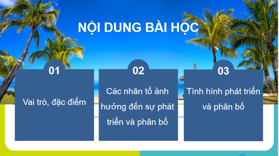 PowerPoint Địa lí 10 Bài 36 Kết nối tri thức