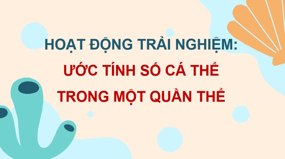 Ước tính số cá thể trong một quần thể