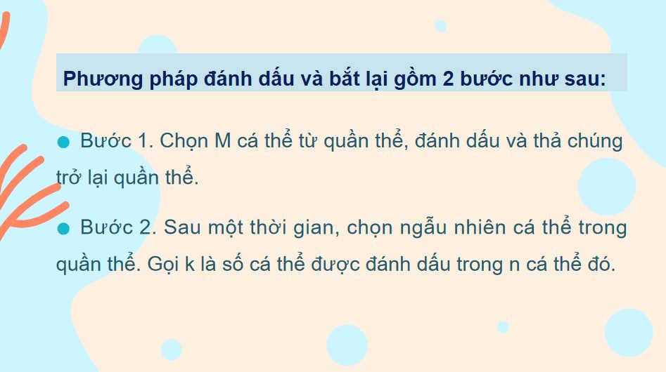 Ước tính số cá thể trong một quần thể