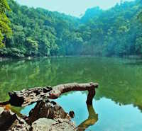 Giáo án Sinh hoạt lớp 5 Em và môi trường xanh tuần 30