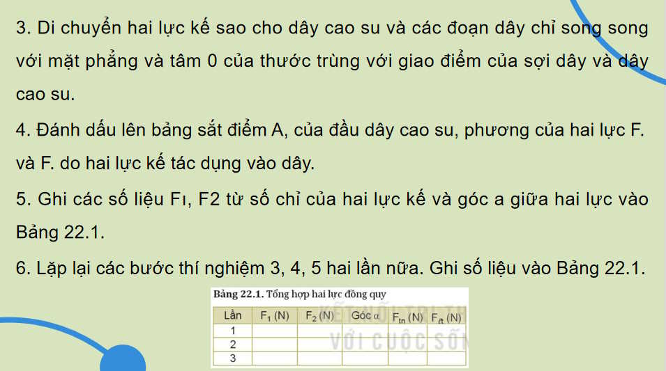 Thực hành Tổng hợp lực
