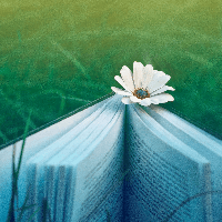 Bài tập về Thành phần Phụ chú